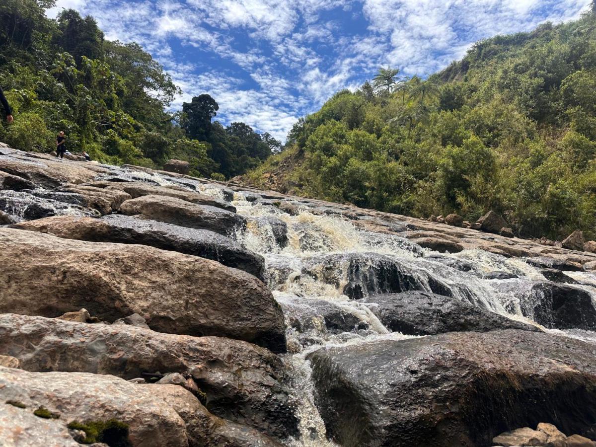 Cueva de los Guácharos: 65 años de conservación comunitaria en Huila
