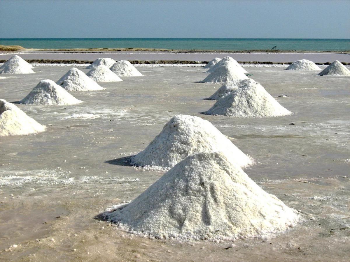 Ley para salvar y reactivar las Salinas Marítimas de Manaure es aprobada en el Congreso 