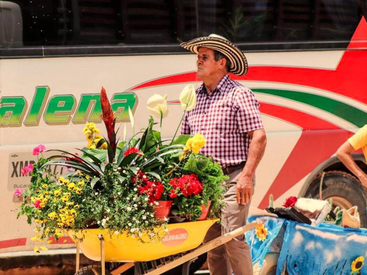 Festival de Flores, Frutos y Artes: Betulia Santander