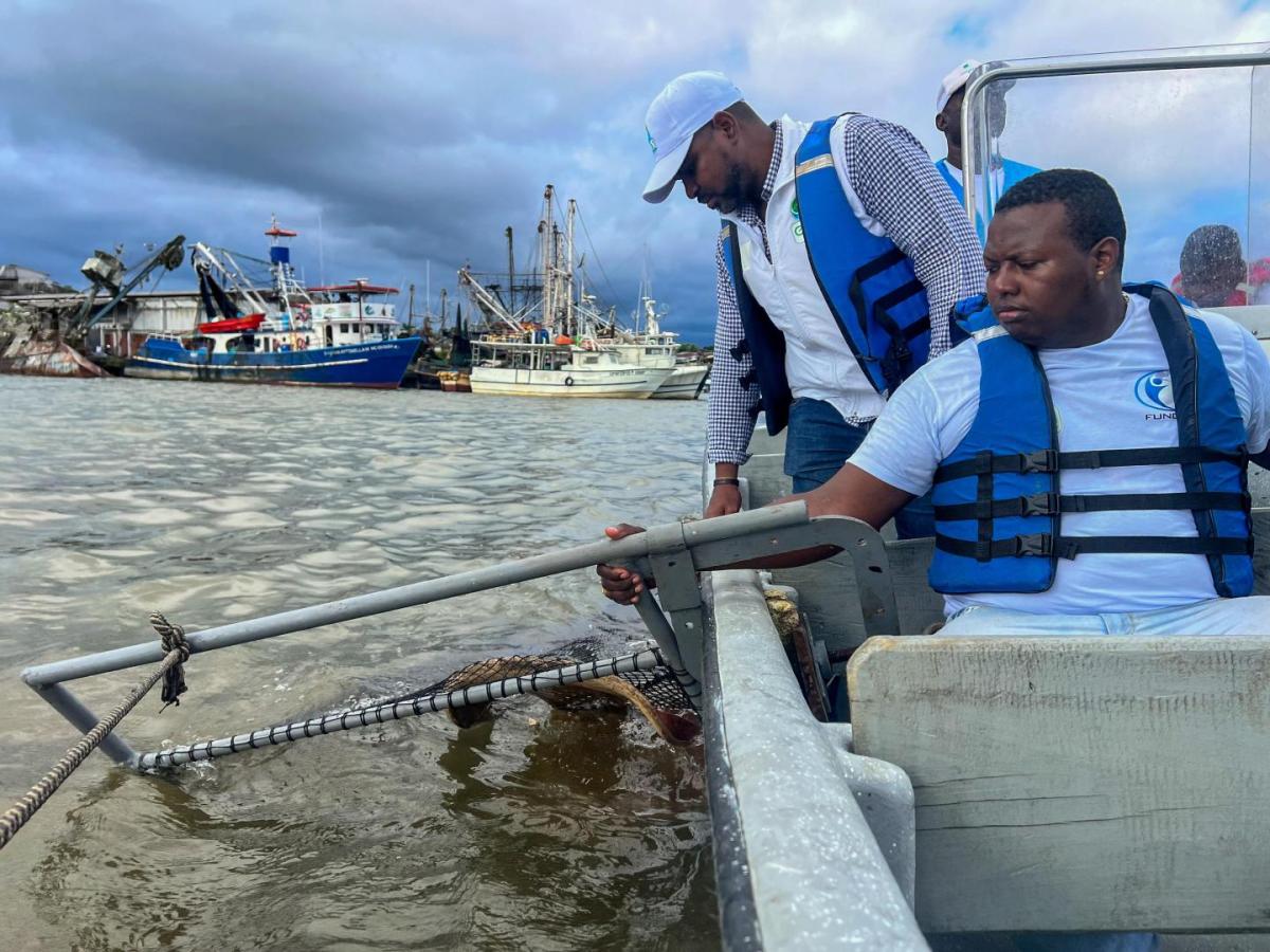 EPA Buenaventura investiga presencia de microplásticos en peces comerciales por riesgo ambiental y sanitario