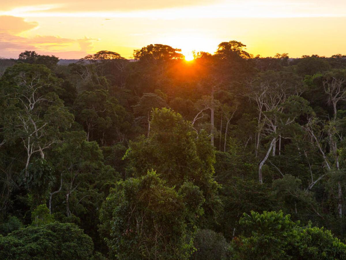 Amazonía de Perú: indígenas denuncian contaminación por mineras