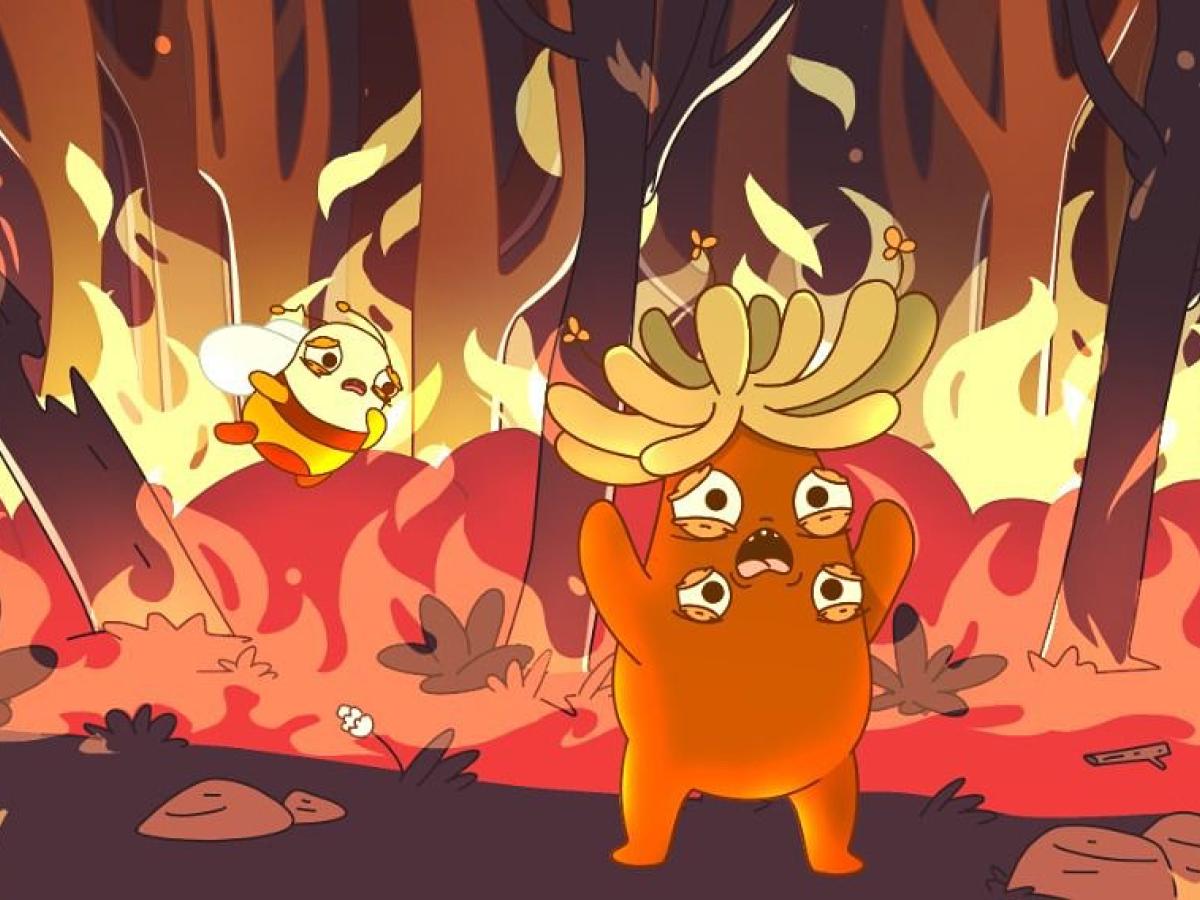 Frailejón Ernesto Pérez: nueva canción páramos 2024