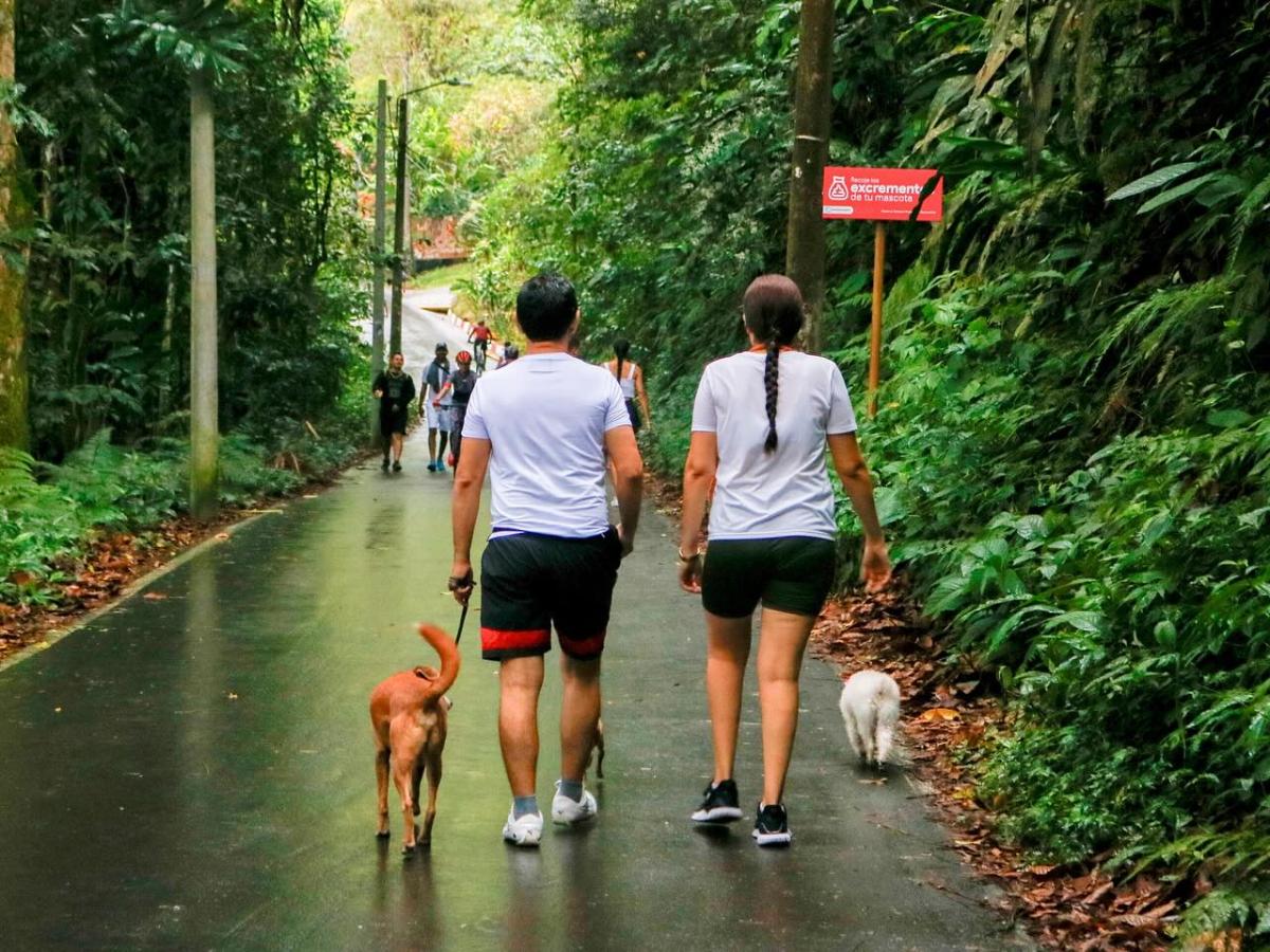 Villavicencio: turismo rural liderado por reincorporados 