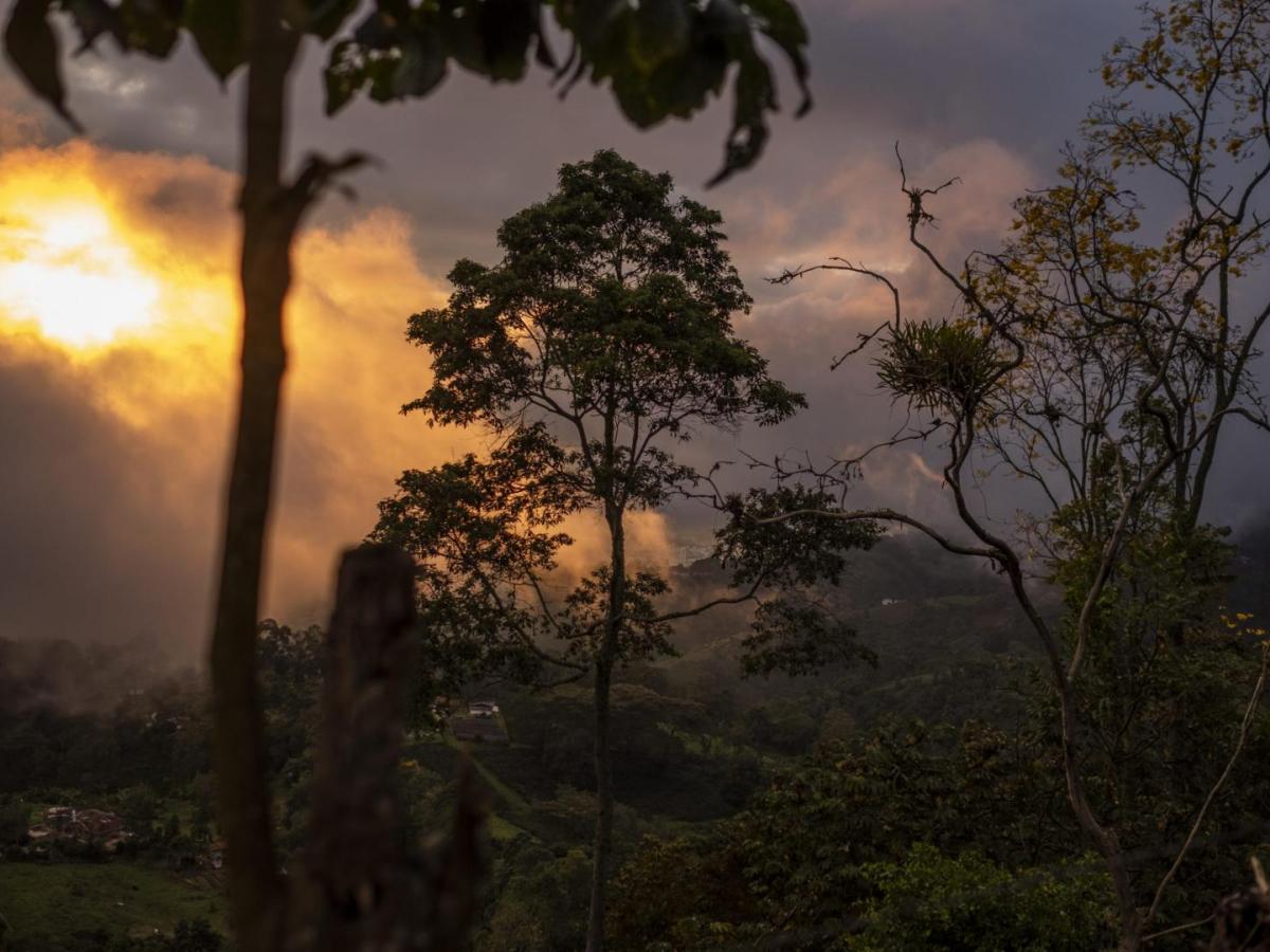 Incendios forestales en Colombia: cuántos han ocurrido 2024
