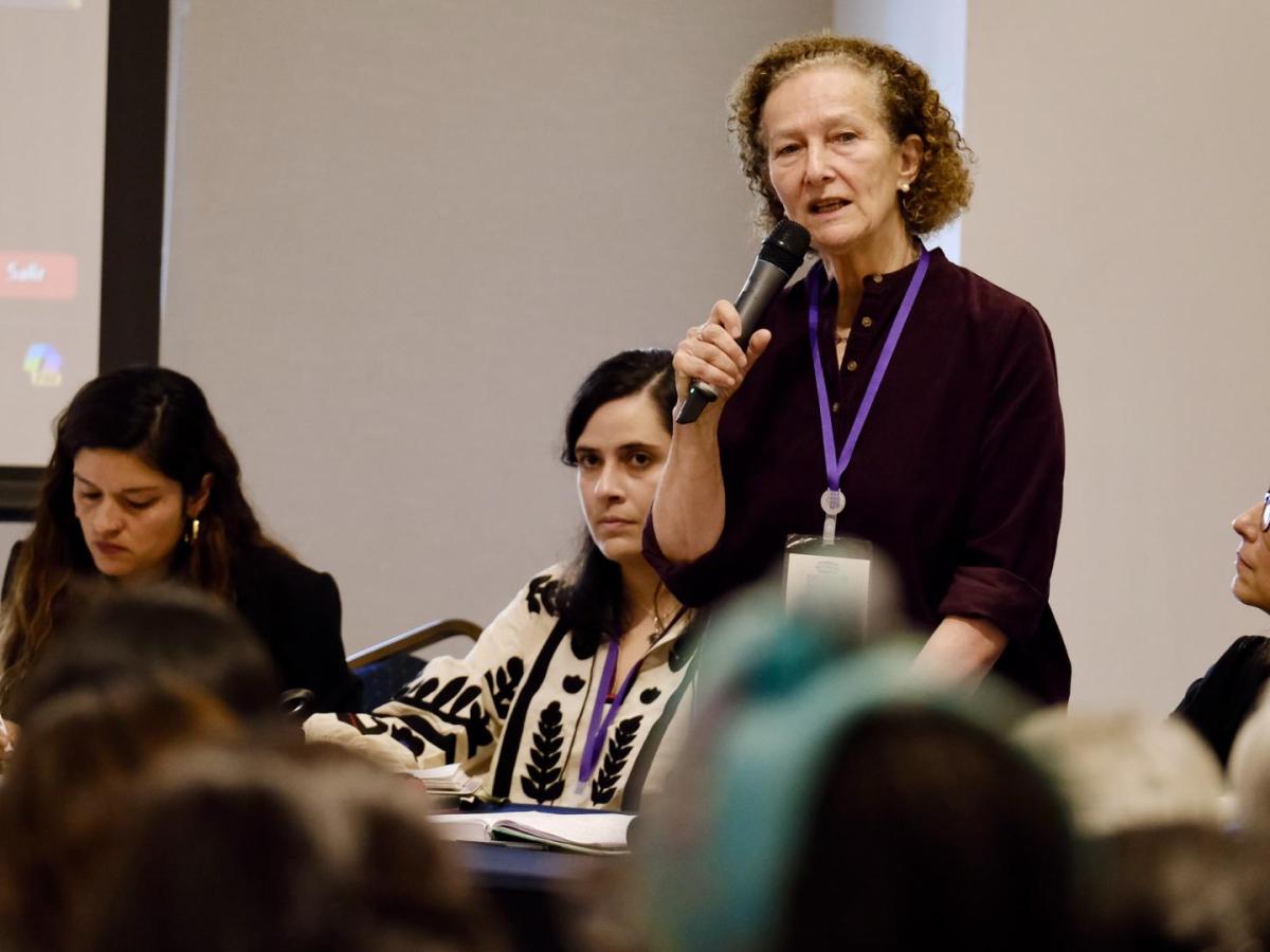 Vera Grabe: séptimo ciclo de negociaciones entre el Gobierno y el Eln