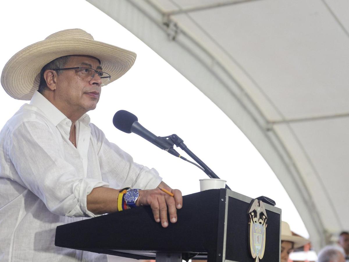 Así es la nueva planta procesadora de arroz en Palermo, Huila