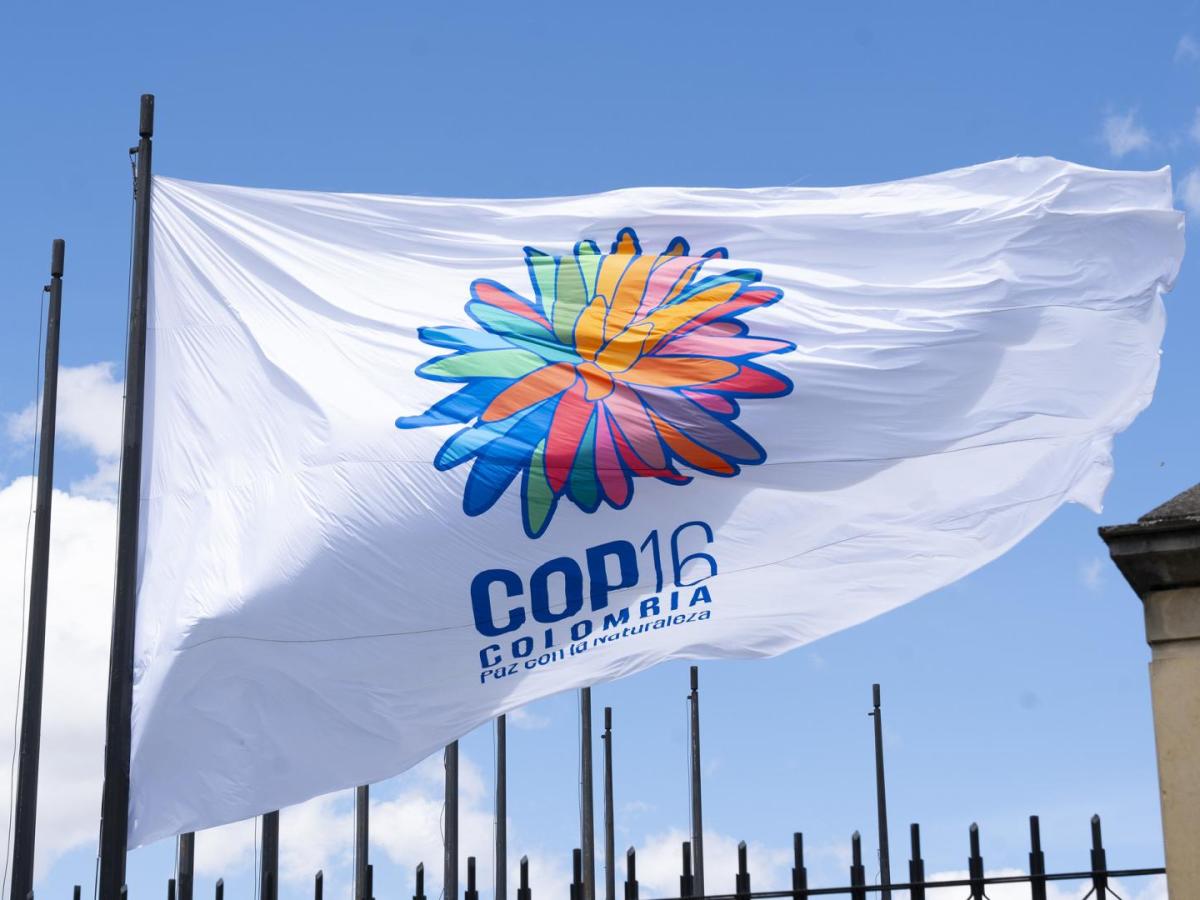 COP16: entrega de la Zona Azul a la ONU