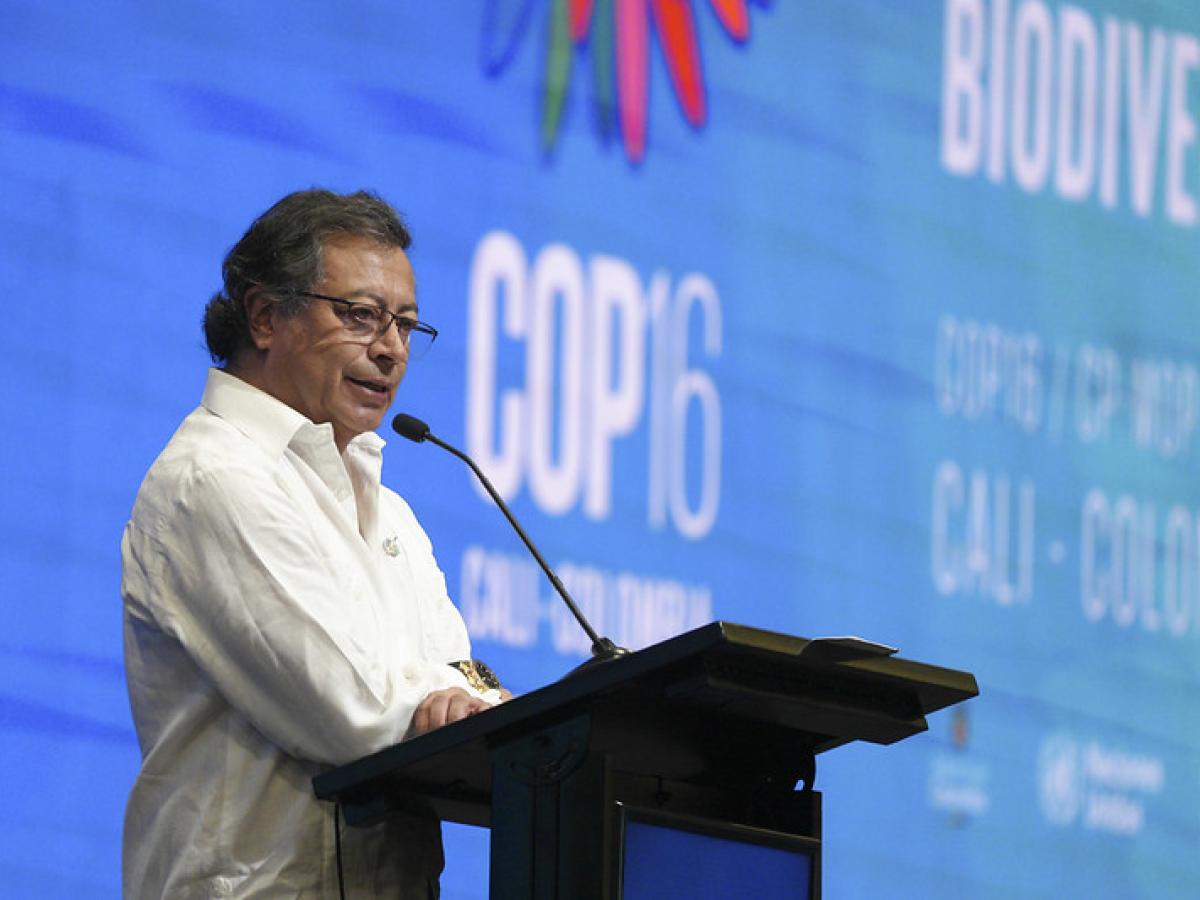 El Gobierno negociará en la COP16 un portafolio de inversión por $160 billones para enfrentar la crisis climática