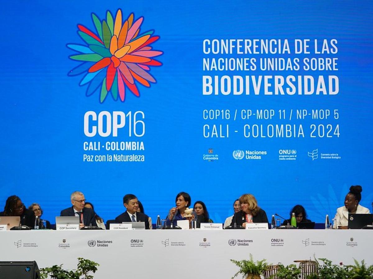Balance de la primera semana de la COP16 en Cali