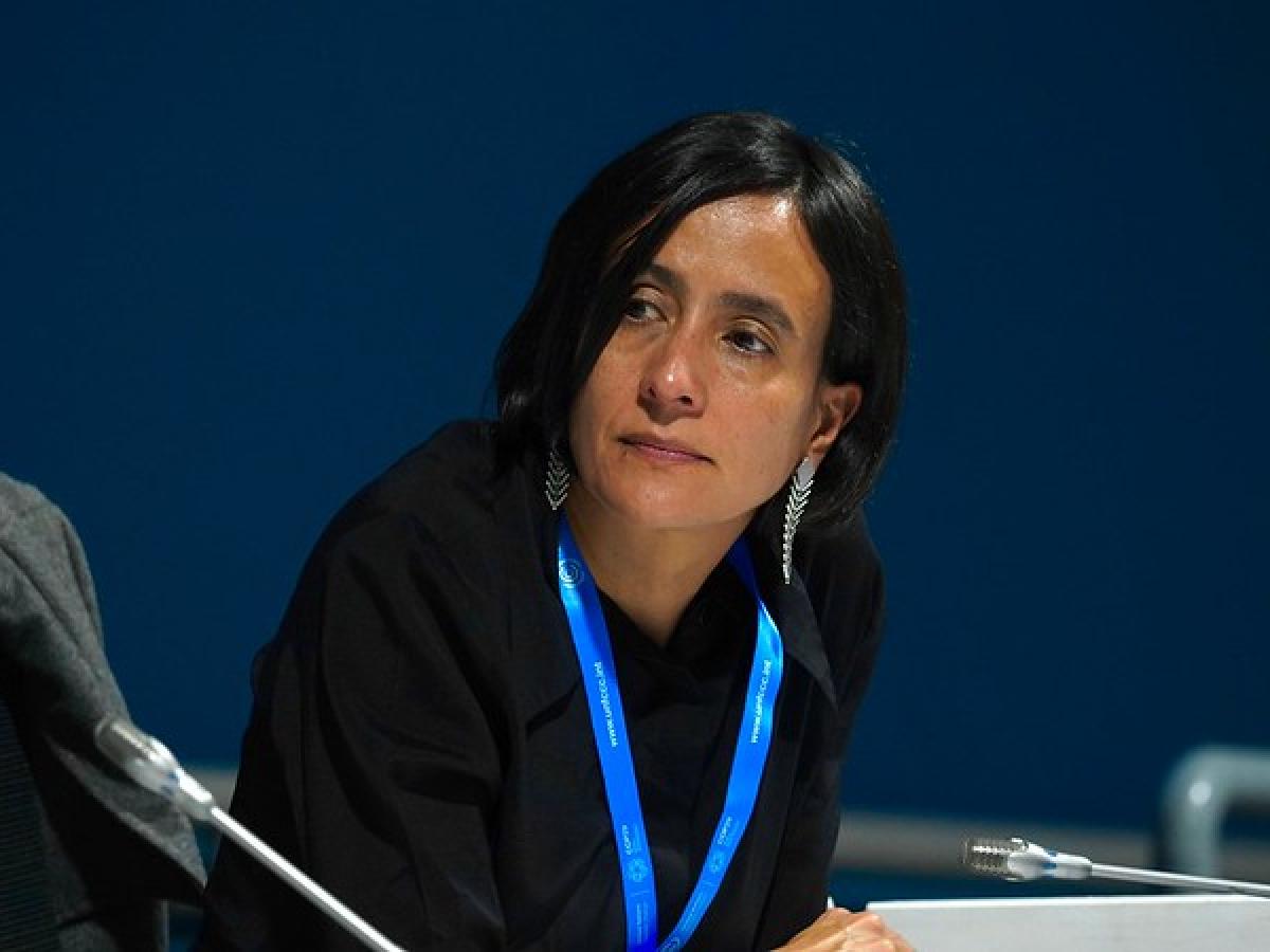 COP29: Colombia propone reforma financiera y alivio de deuda por 10 años para enfrentar desastres naturales