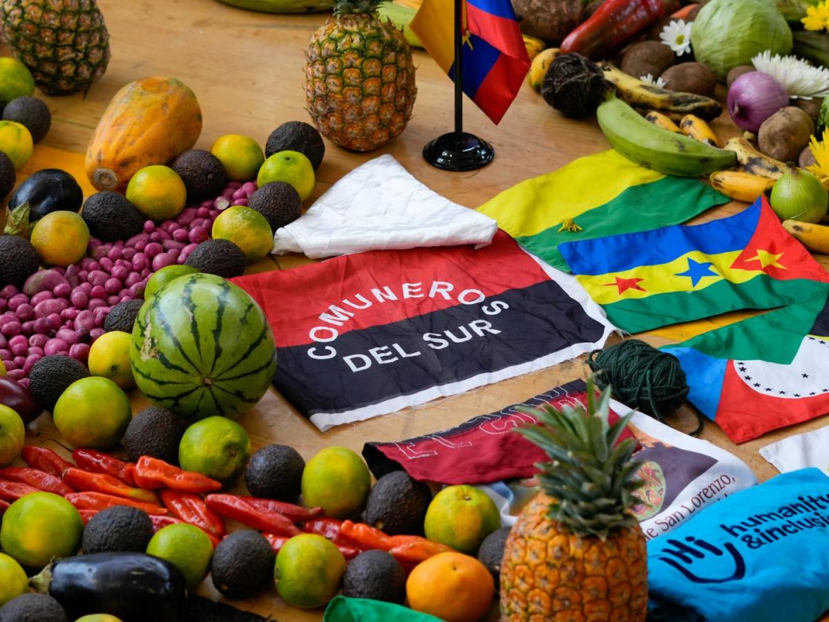 Disminución desplazamiento forzado Nariño diálogos Comuneros del Sur