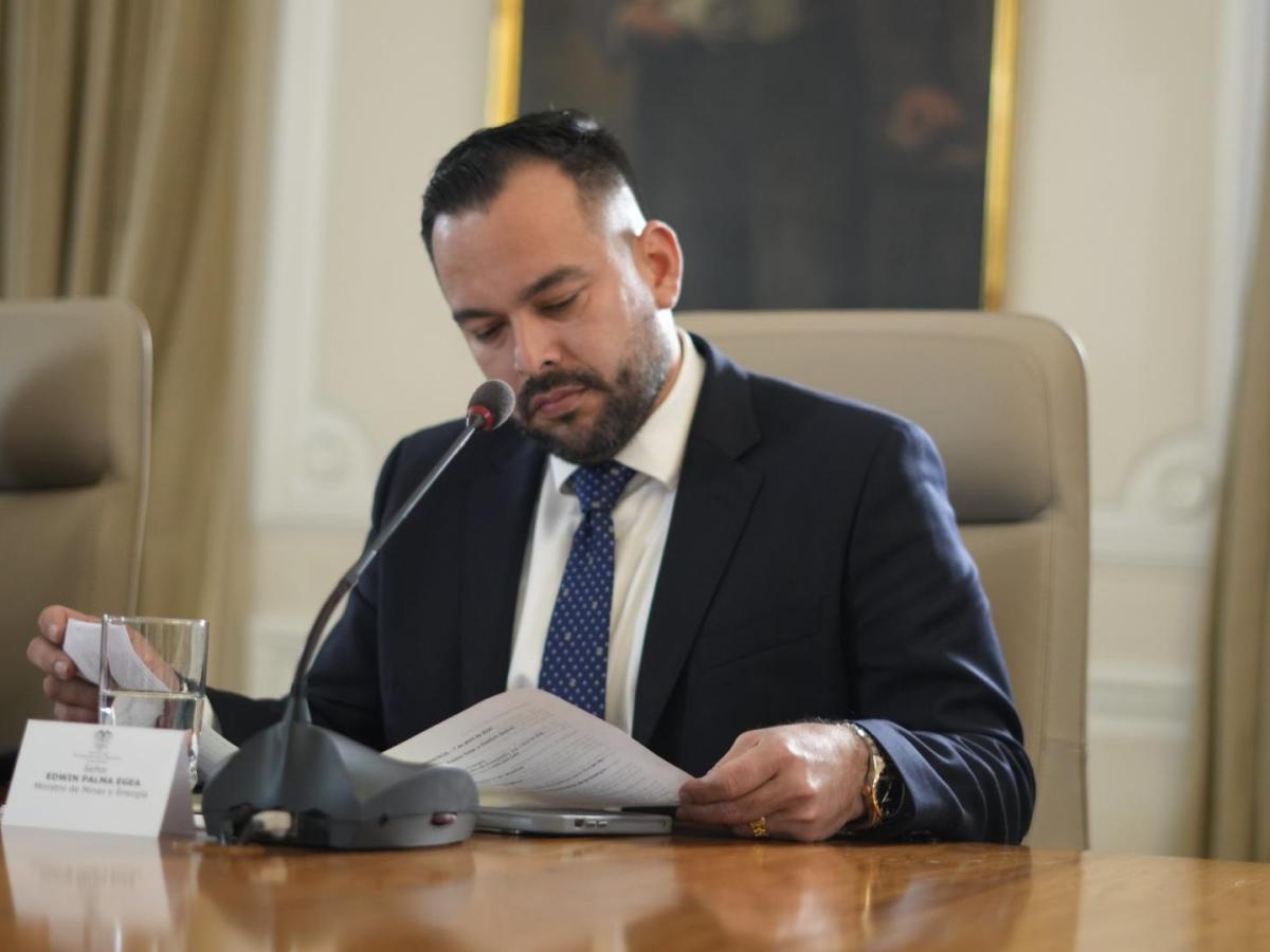 Decreto del Gobierno para bajar costo de la energía 