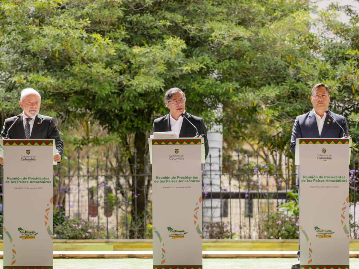 Declaraciones de Petro, Lula, Arce y Ecuador en la Cumbre OTCA 2025 rumbo a la COP30