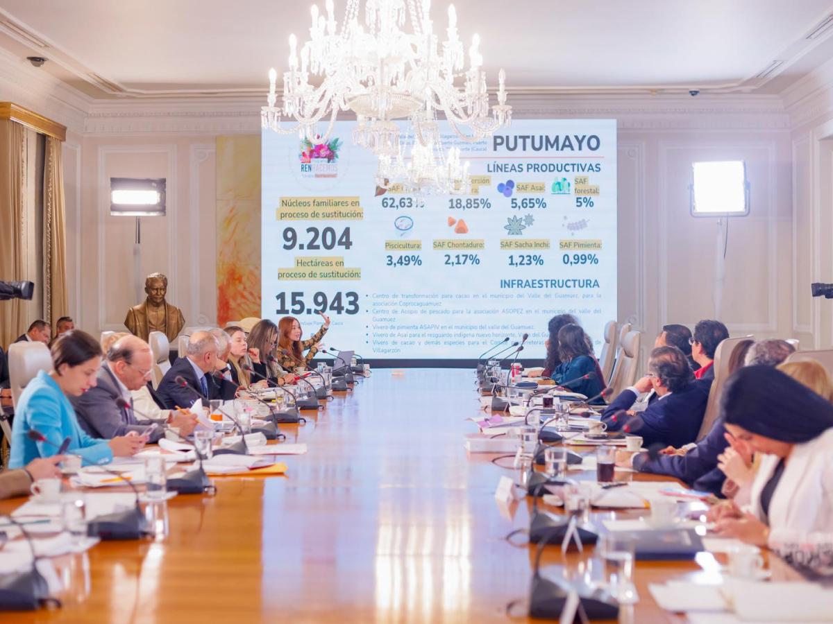 Sustitución de cultivos avanza sin glifosato en Colombia