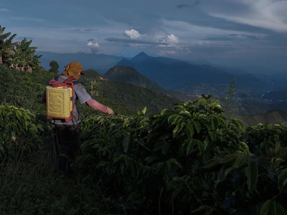 Entrevista con el director de la película ‘La Roya’