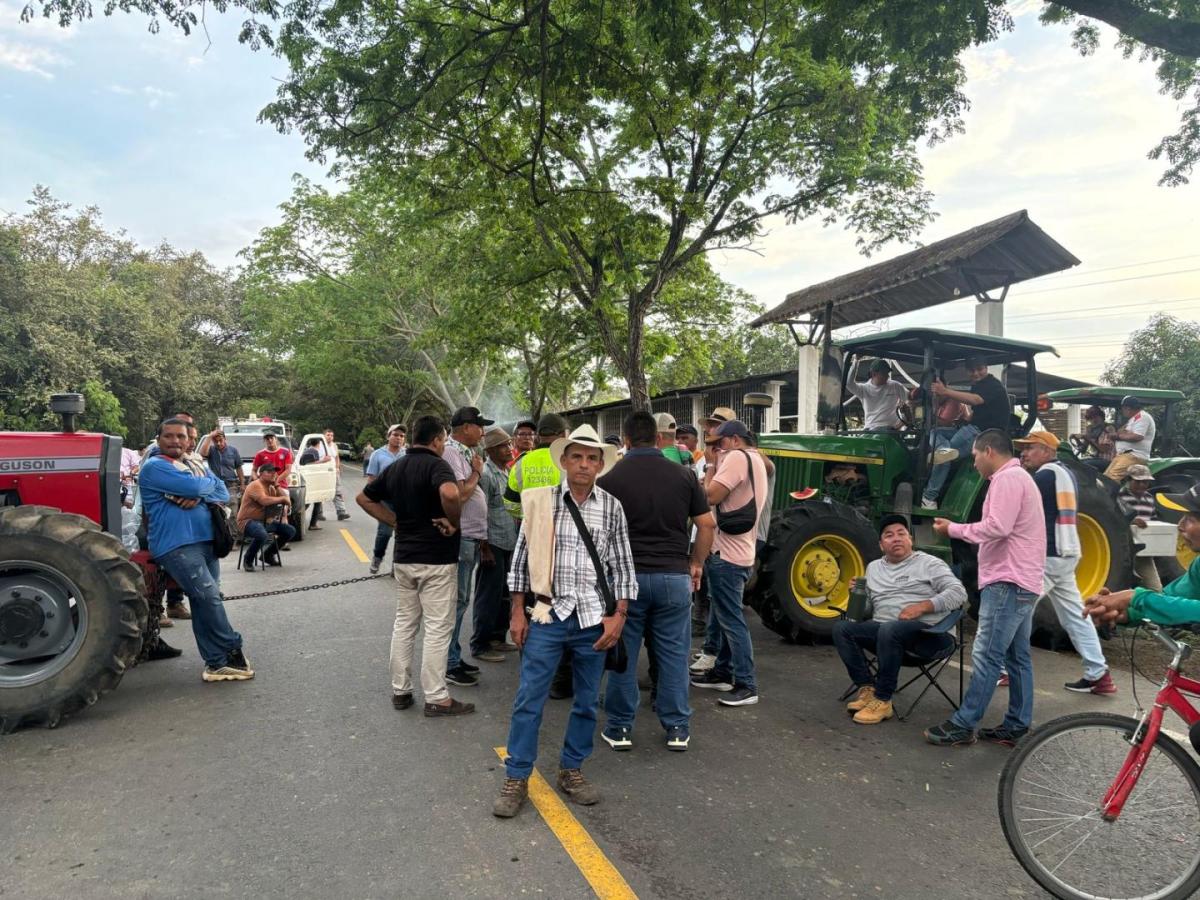 Paro arroceros HOY: estado movilidad y vías en diferentes regiones