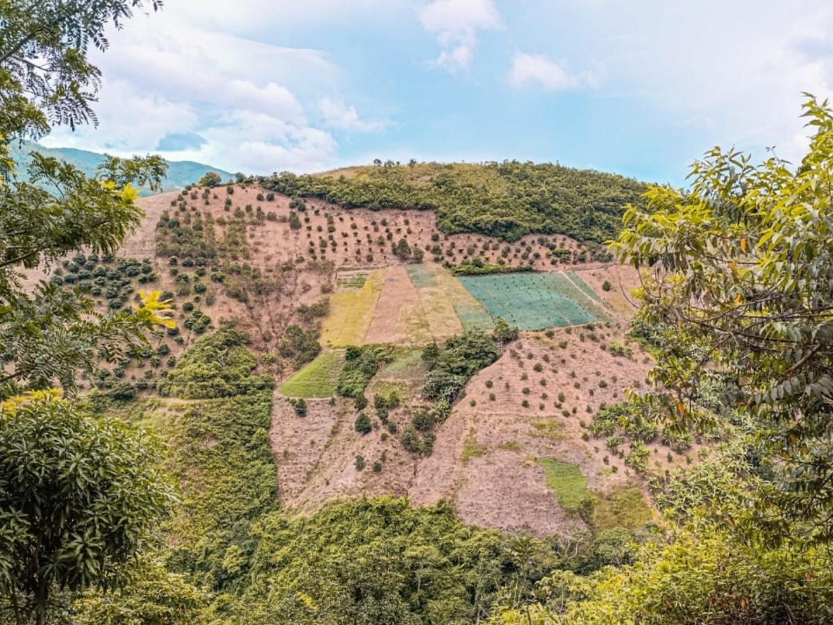 ANT entrega 6.216 hectáreas a campesinos y víctimas en el Catatumbo