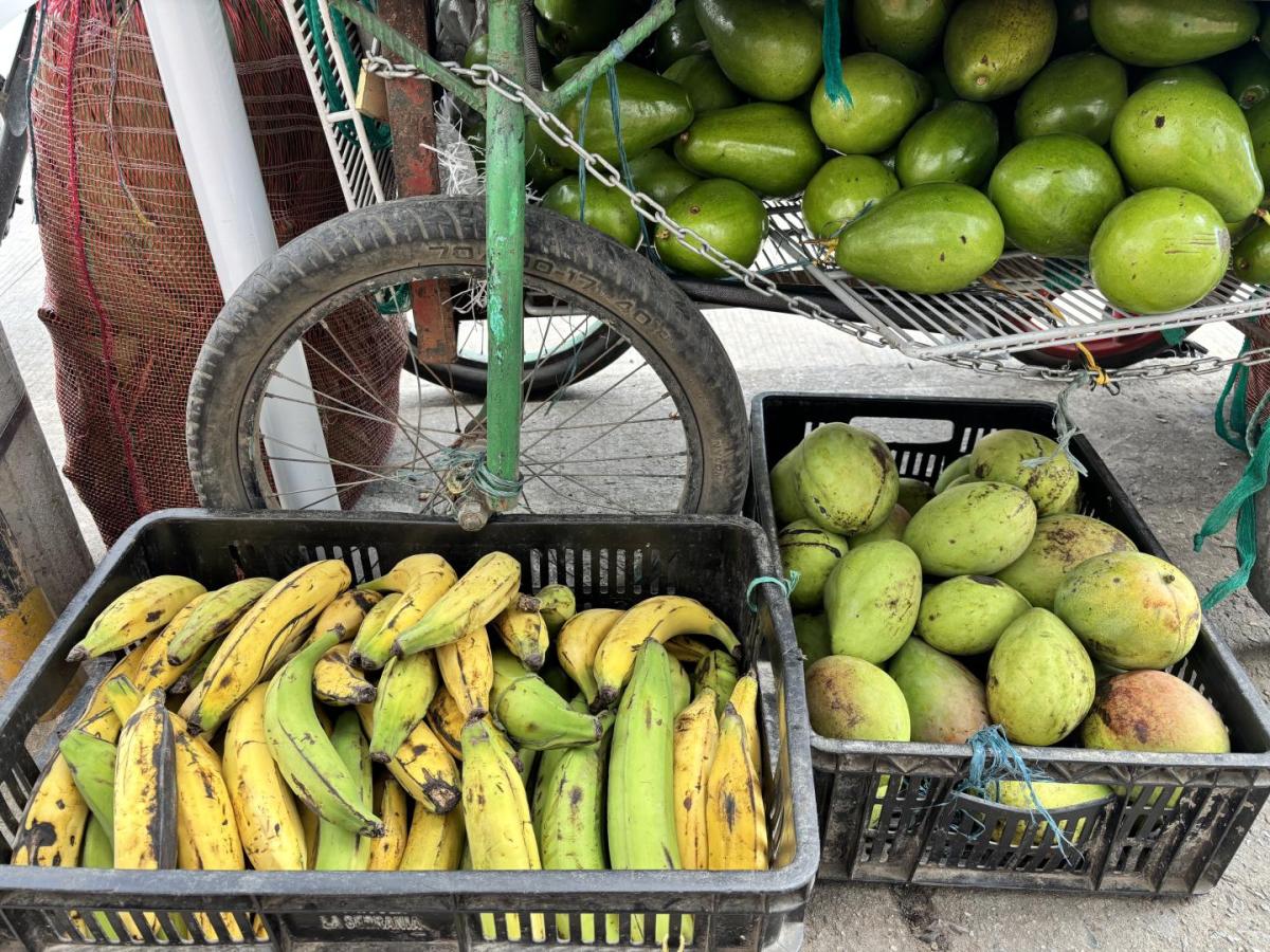 Día Internacional de los Vendedores Ambulantes en Colombia 2025