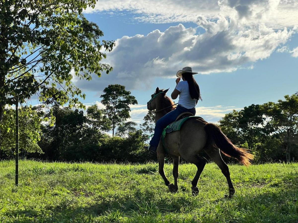 Papel de las mujeres araucanas en el llano