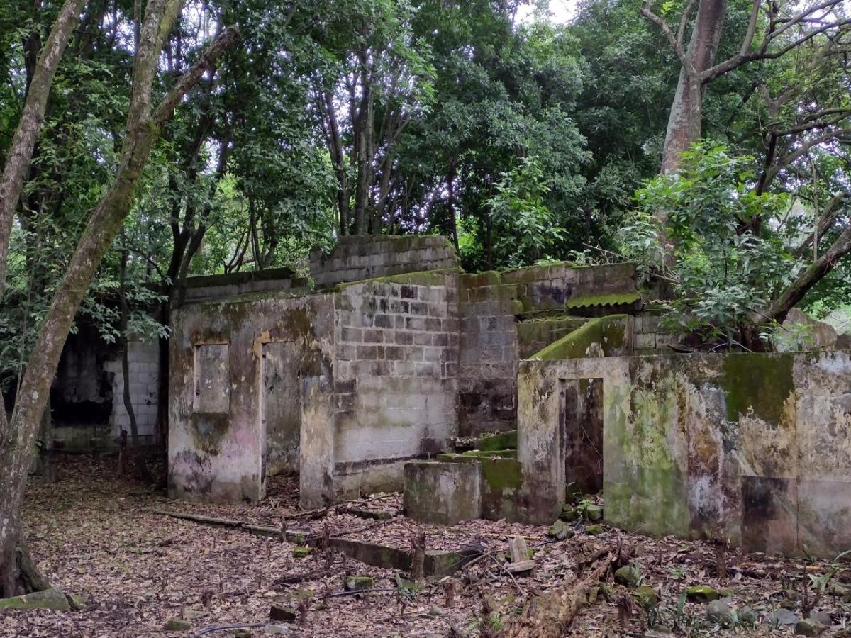 Conmemorarán los 40 años de la tragedia de armero con actos en homenaje a las víctimas