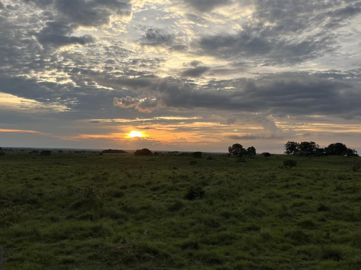 Caminos del Yarí impulsa turismo y paz en Meta y Caquetá