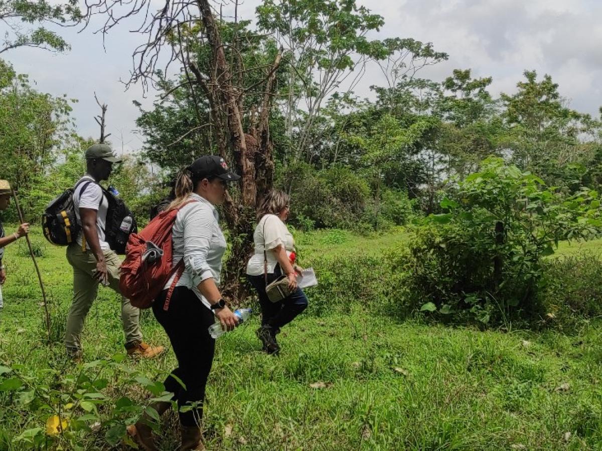 Agencia Nacional de Tierras recupera 427 hectáreas en Antioquia