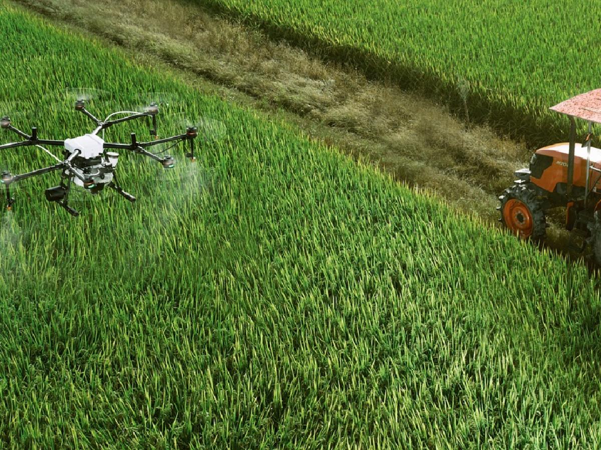 Innovaciones en la agricultura: importancia, casos en Colombia