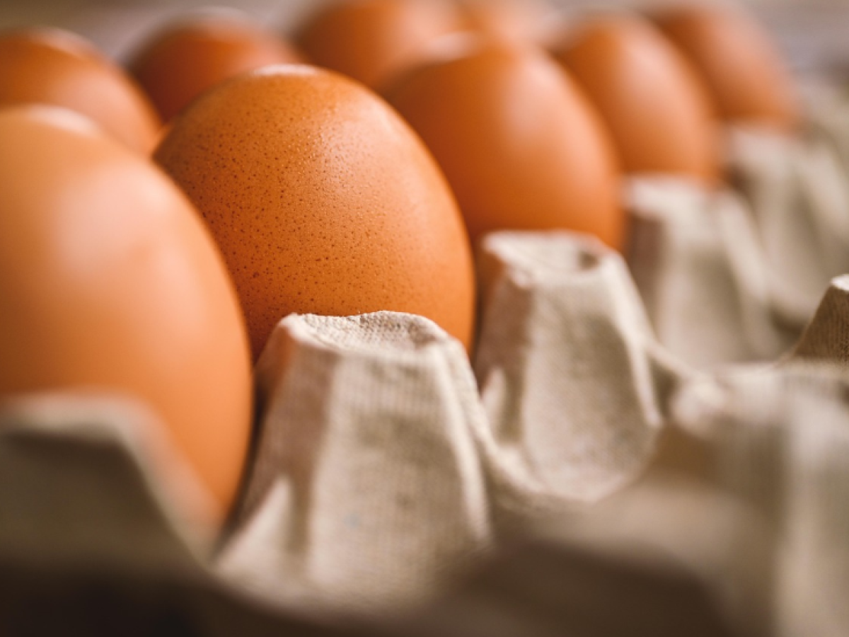 Alimentos bajaron de precio en enero, según el DANE