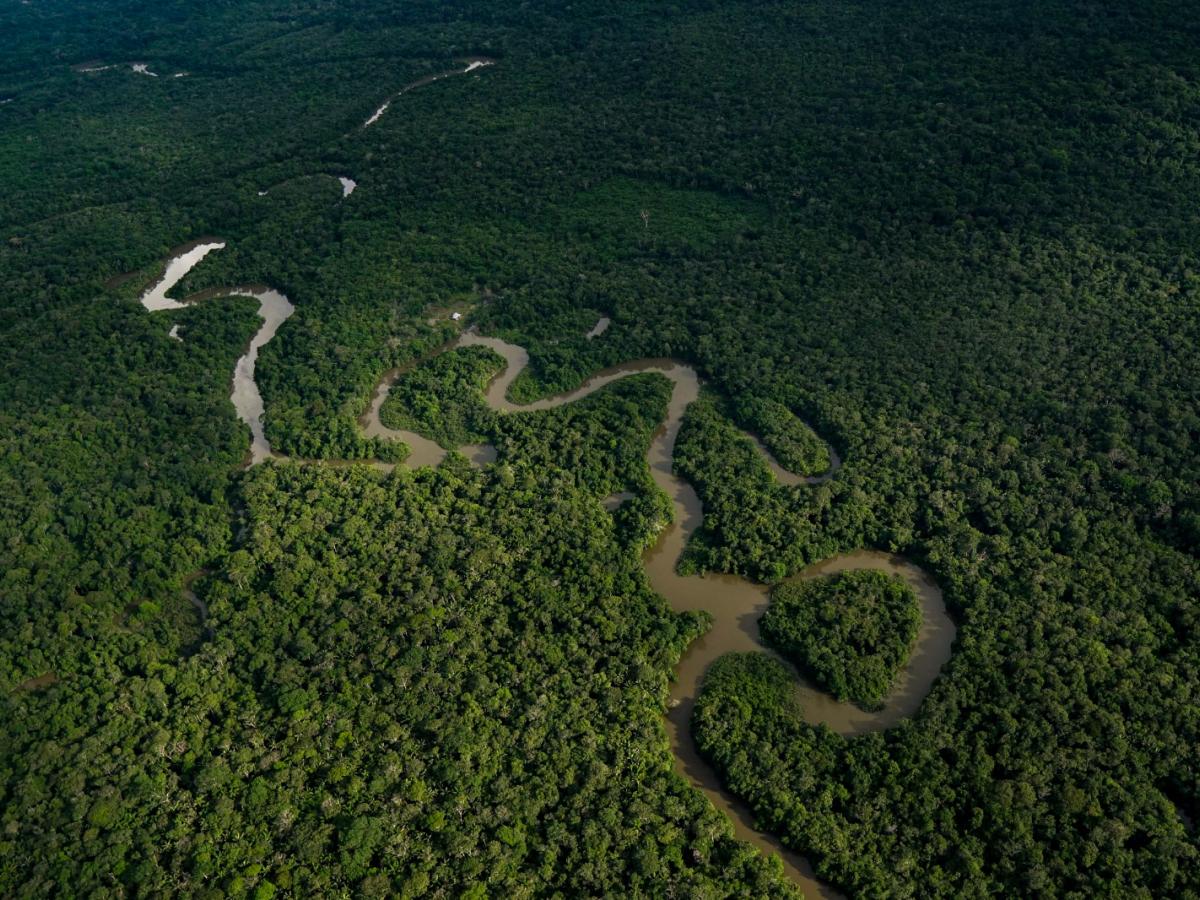 Amazonía: exfuncionarios de Corponariño, fueron capturados