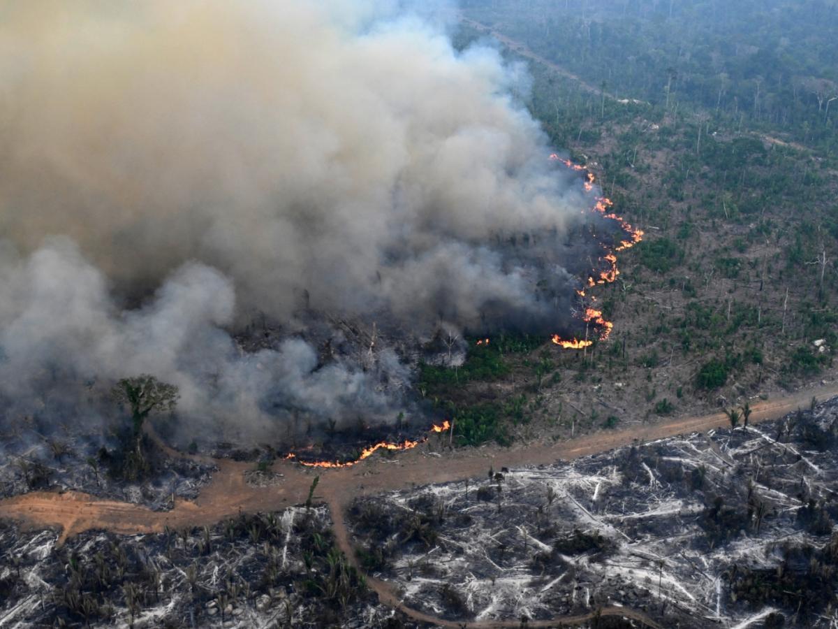 Amazonía: incendios han alcanzado el tamaño de Colombia