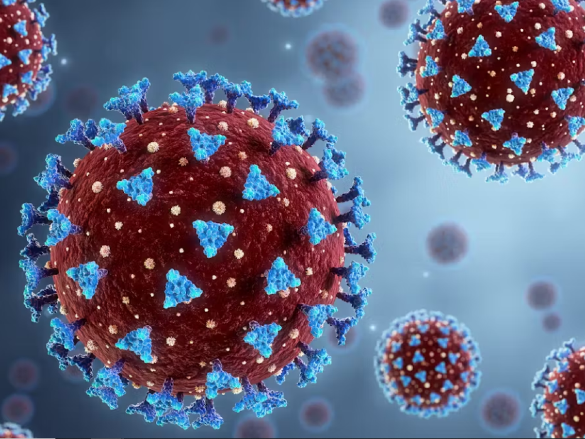 Los virus dejan huellas inmunes imborrables en nuestro cuerpo