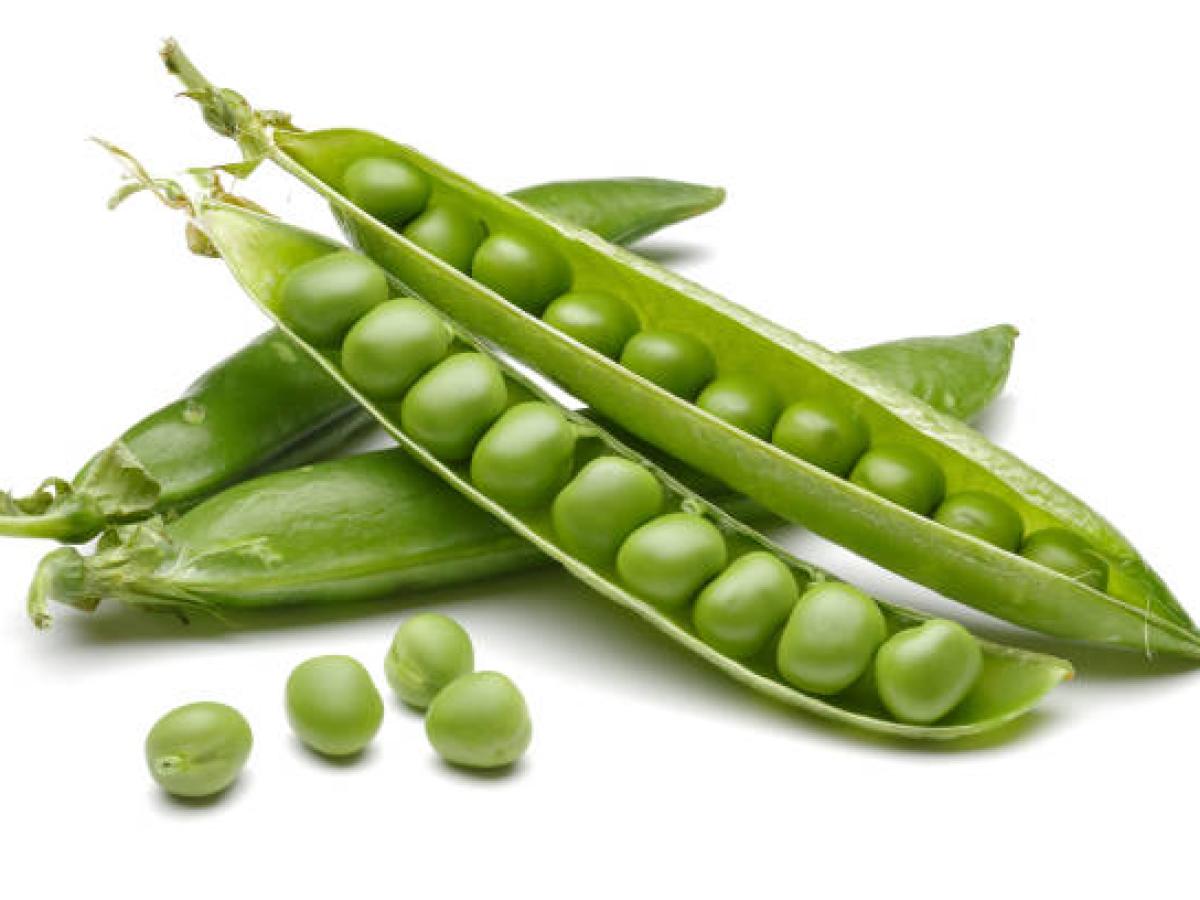 Nariño se consolida como el principal productor de arveja en Colombia