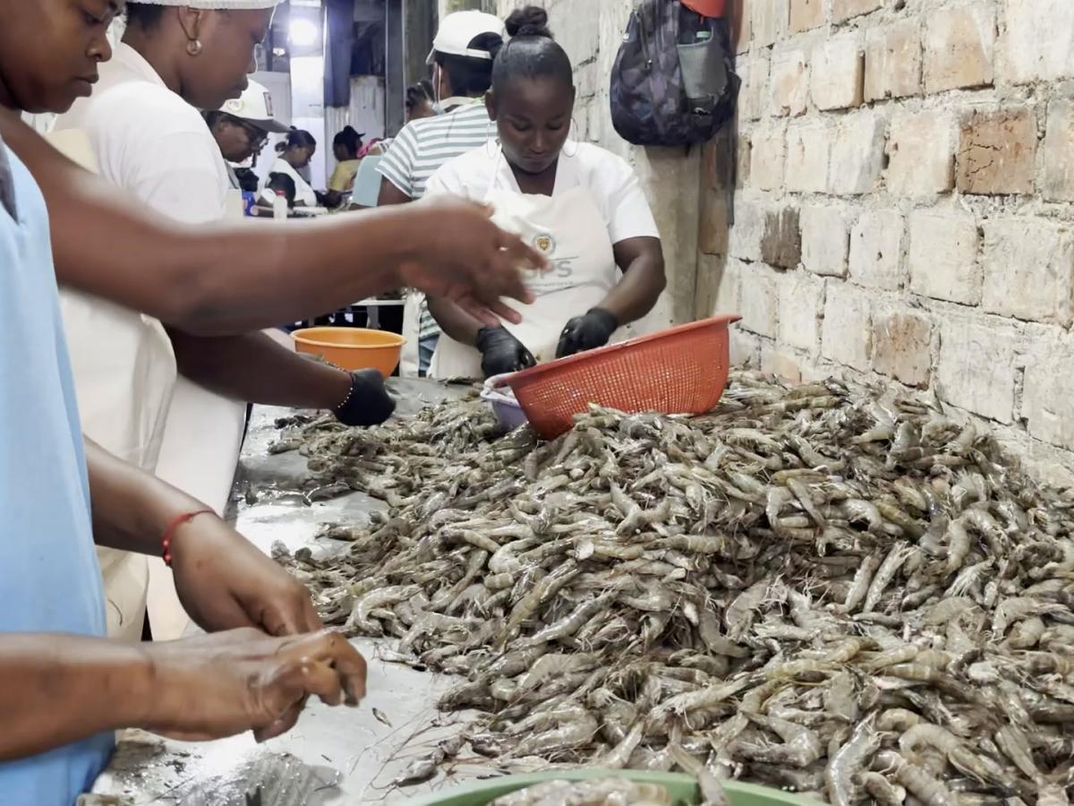Asomefama emprendimiento Tumaco 
