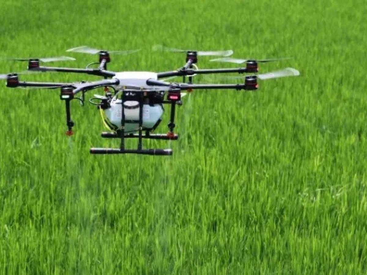 Gobierno autoriza aspersión con drones cultivos ilícitos