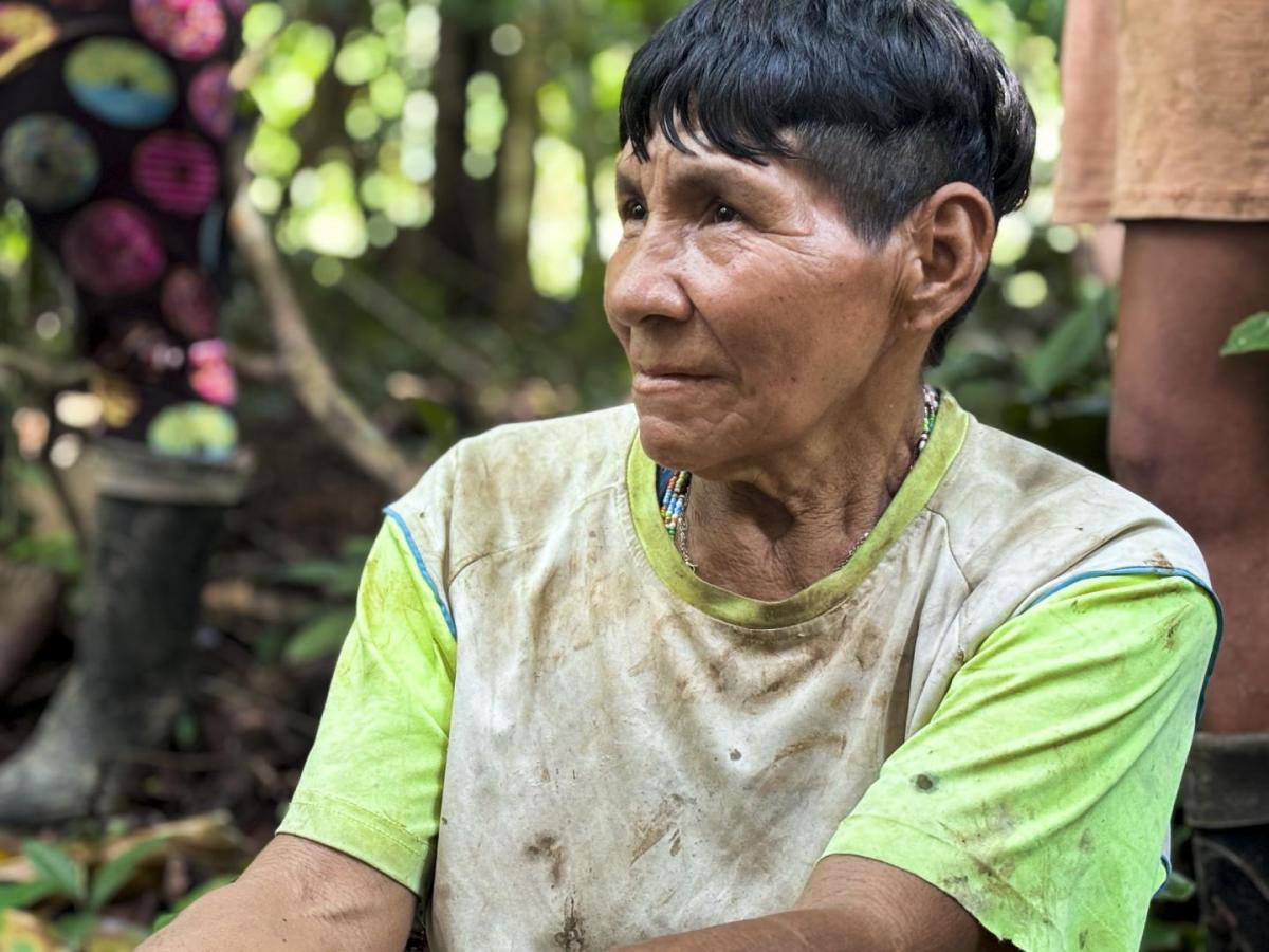 El pueblo Barí: los hijos del Catatumbo 