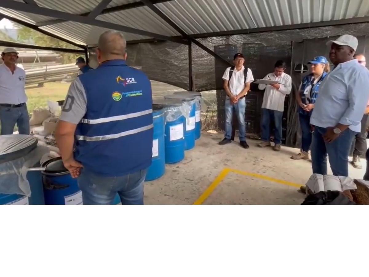 Valle del Cauca: Biofábricas comunitarias impulsan la agricultura sostenible