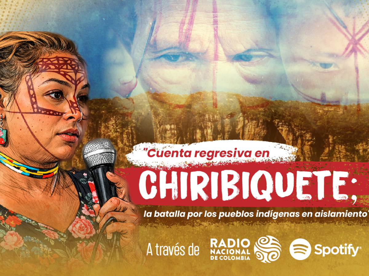 Cuenta regresiva en Chiribiquete: la batalla por los pueblos indígenas en aislamiento