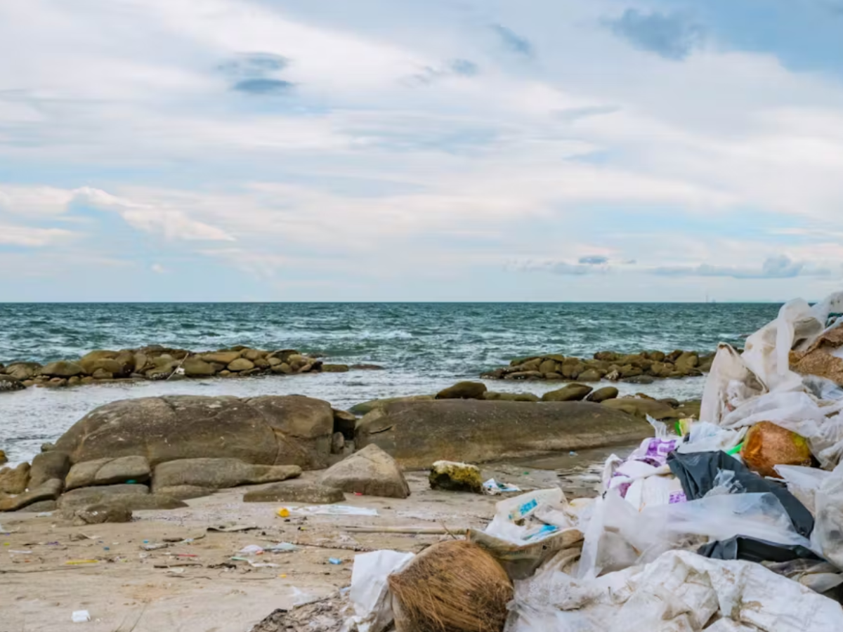 Los culpables de que tanta basura de las playas acabe en el océano no son los turistas, somos todos