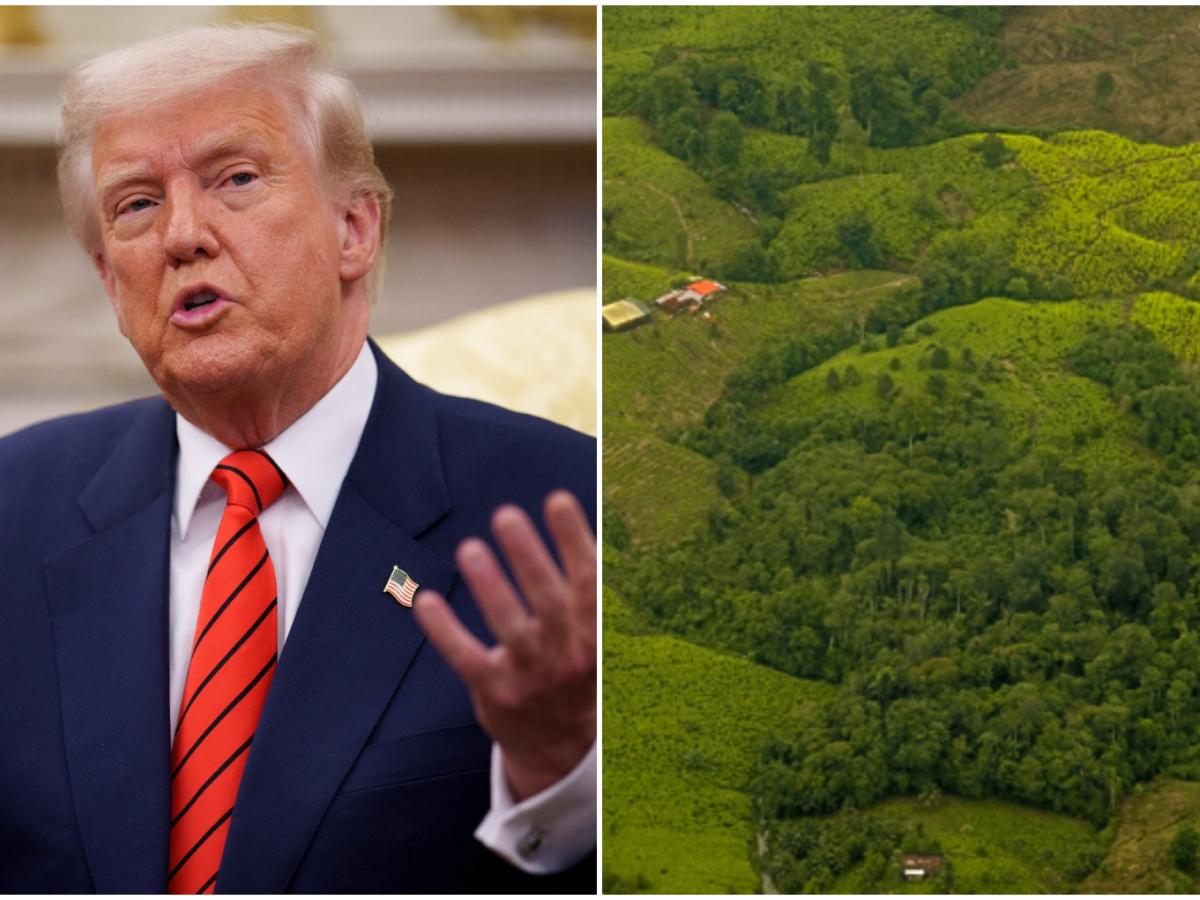 Certificación antidrogas EE.UU a Colombia: fecha renovación