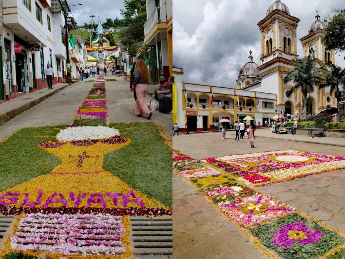 Celebración del Corpus Christi: tapete floral en Guayatá, Boyacá