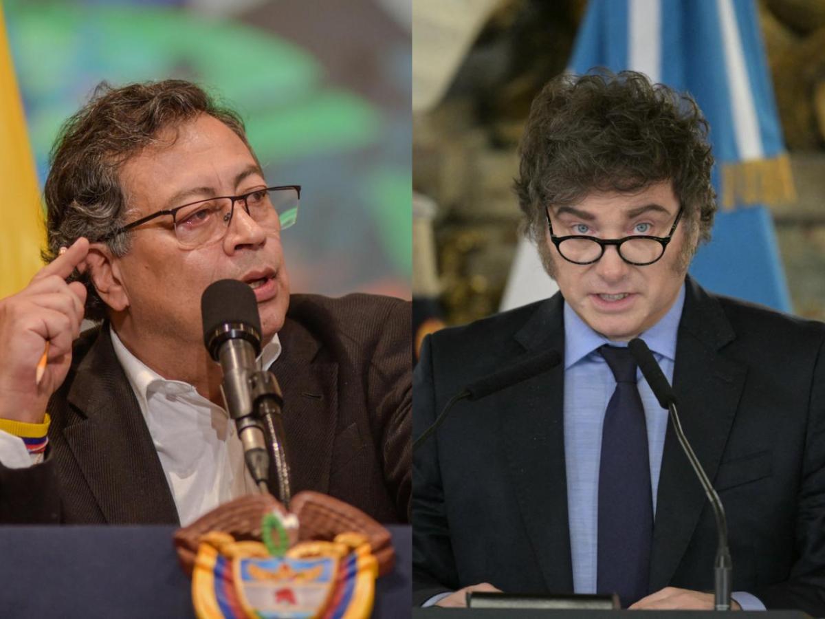 Presidente Petro y presidente Milei: diferencias ideológicas