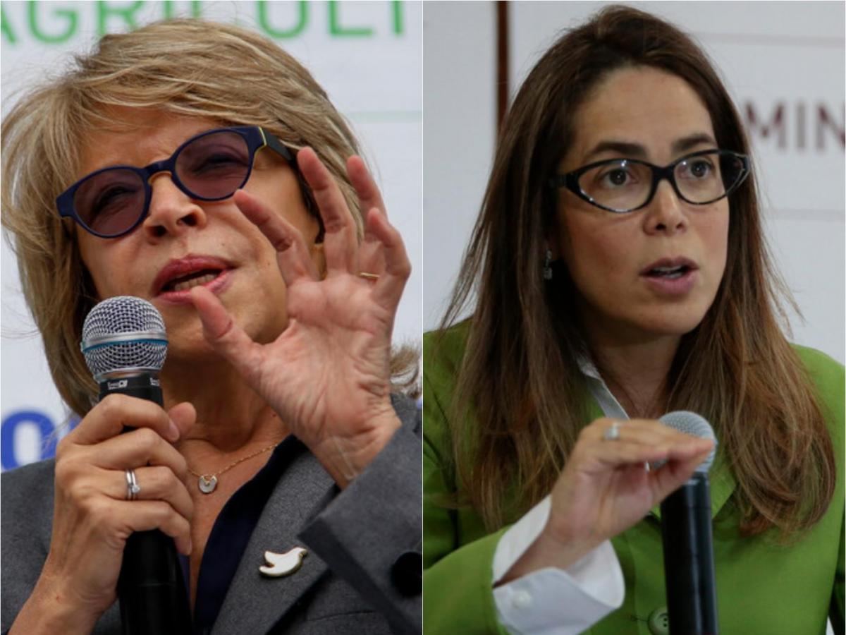 Exministras Cecilia Álvarez y Gina Parody