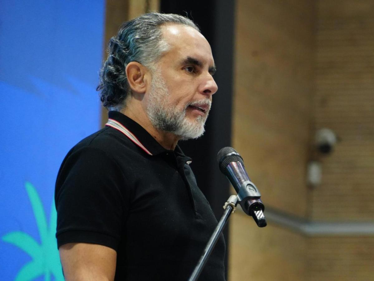 Consulta popular por decreto 