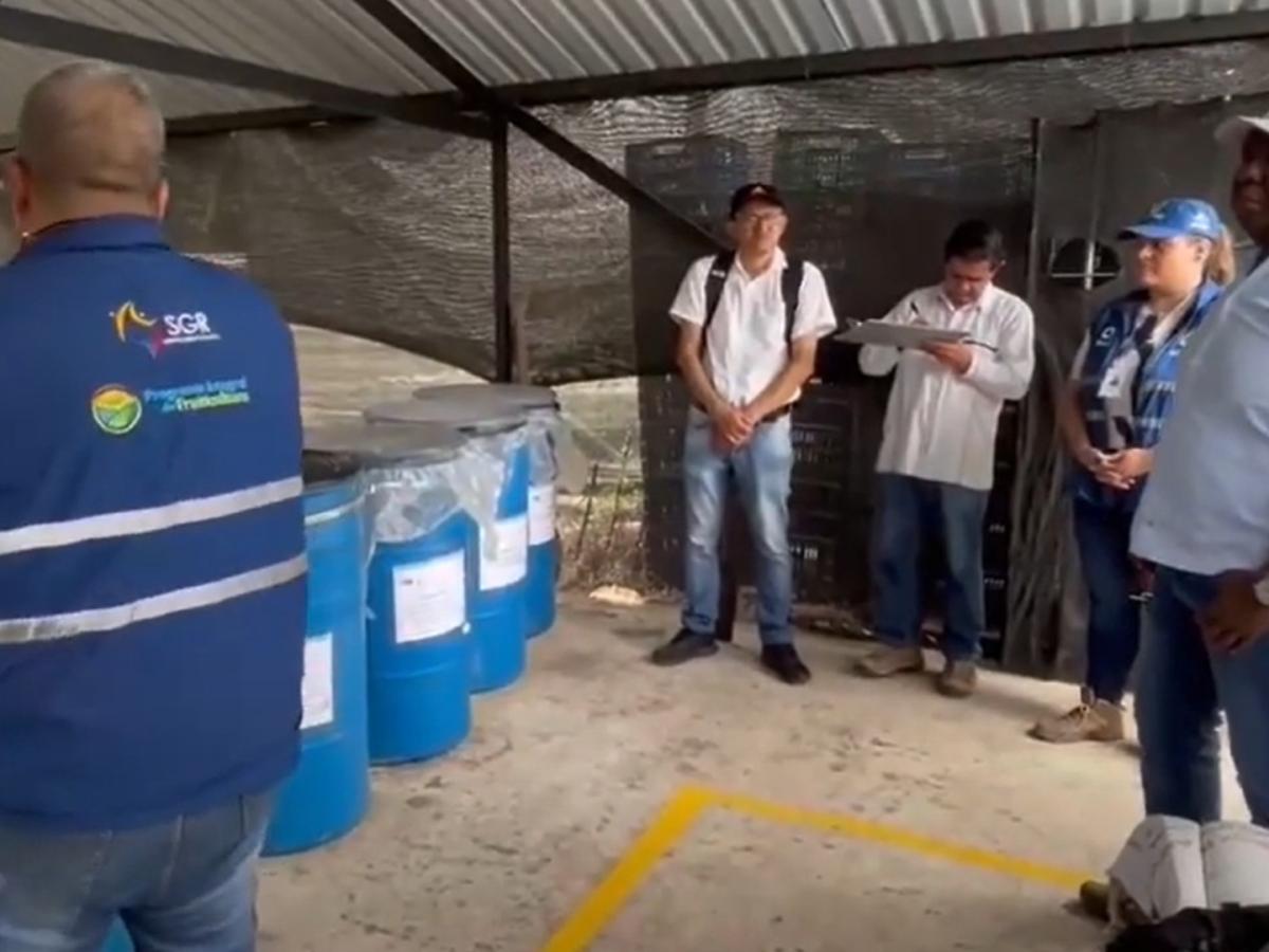 Valle del Cauca: Biofábricas comunitarias impulsan la agricultura sostenible
