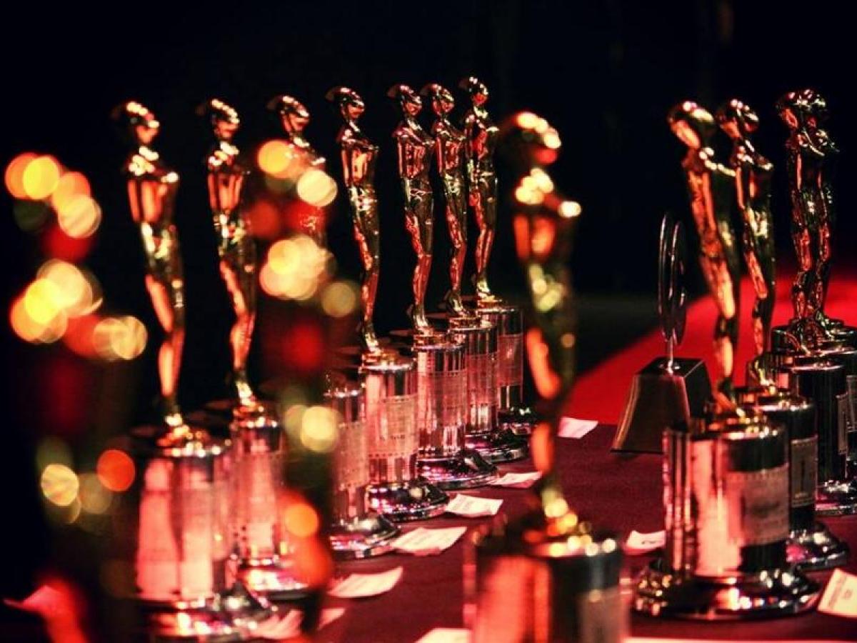 Nominados a los Premios India Catalina 2024