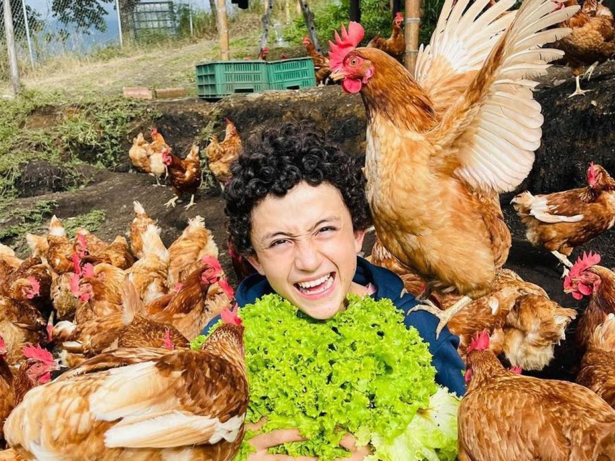 Día del campesino: influenciadores del campo colombiano 