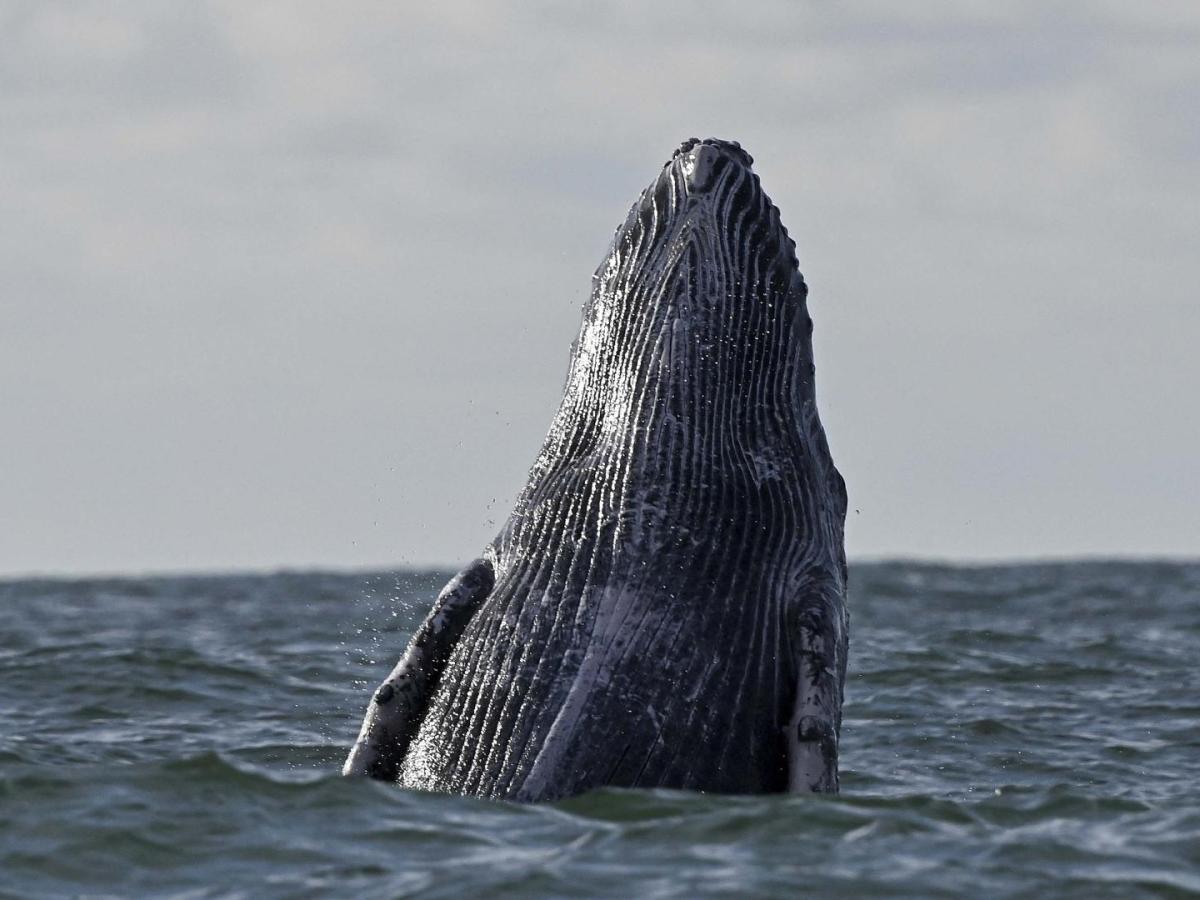 Buenaventura: lugares turísticos para conocer