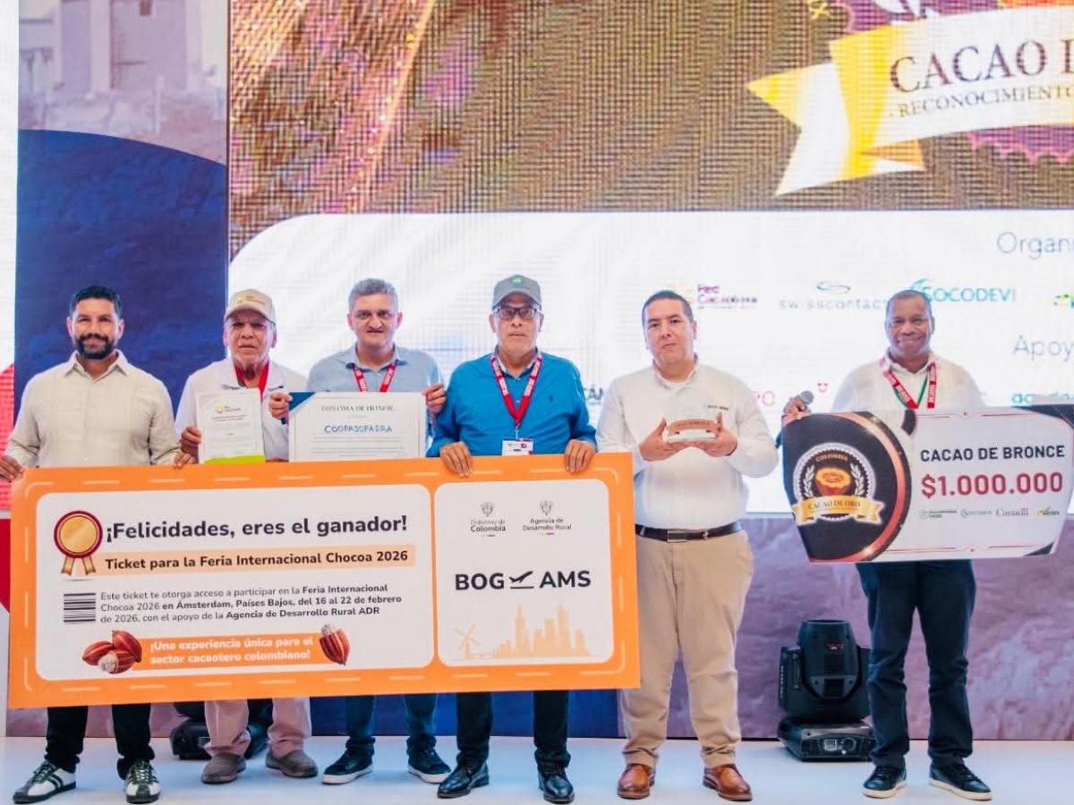  Concurso Nacional del Cacao de Oro: cacao colombiano llegará a  Ámsterdam 