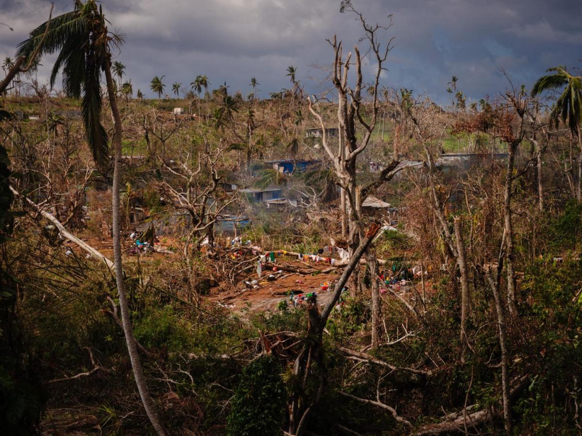 El cambio climático trajo condiciones meteorológicas extremas en 2024