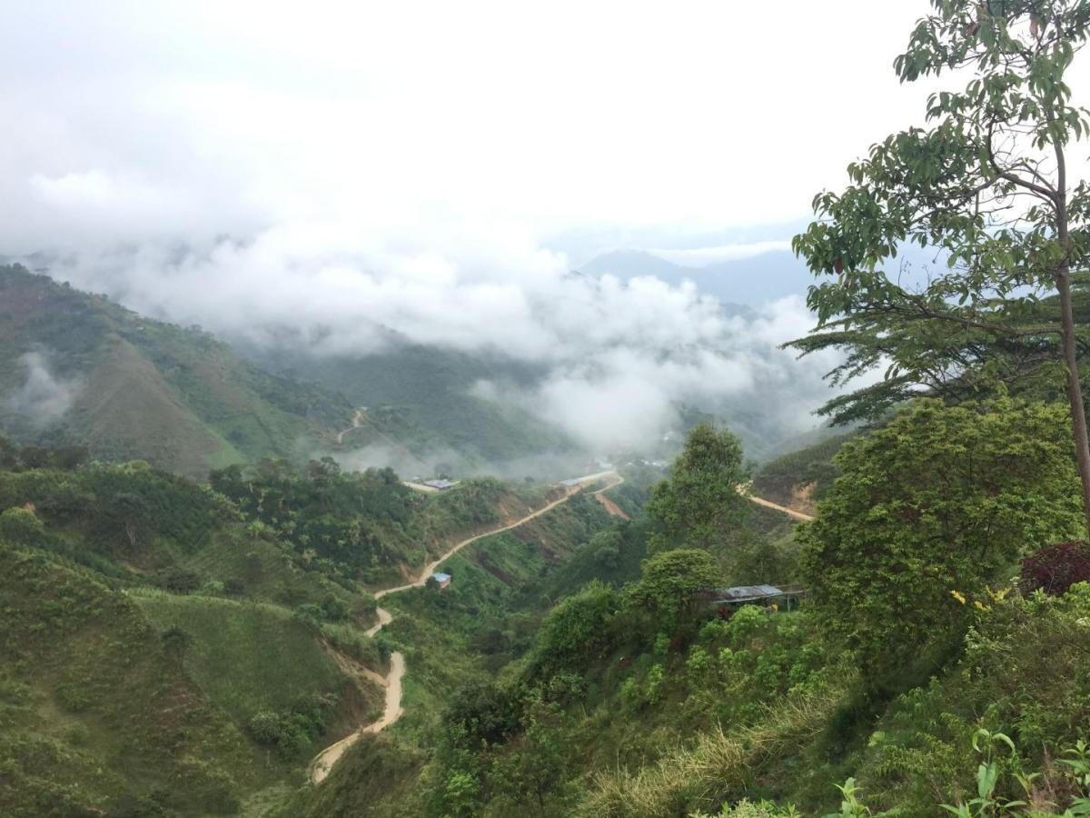 Asesinato de líderes sociales Colombia 2023: 153 han perdido la vidaq